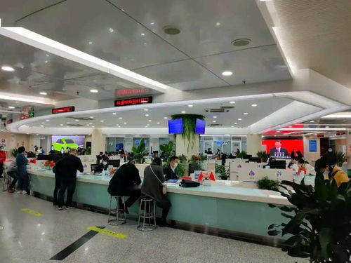 市登記中心學(xué)黨史辦實(shí)事 登記速度再提升 數(shù)據(jù)處理服務(wù)優(yōu)化升級